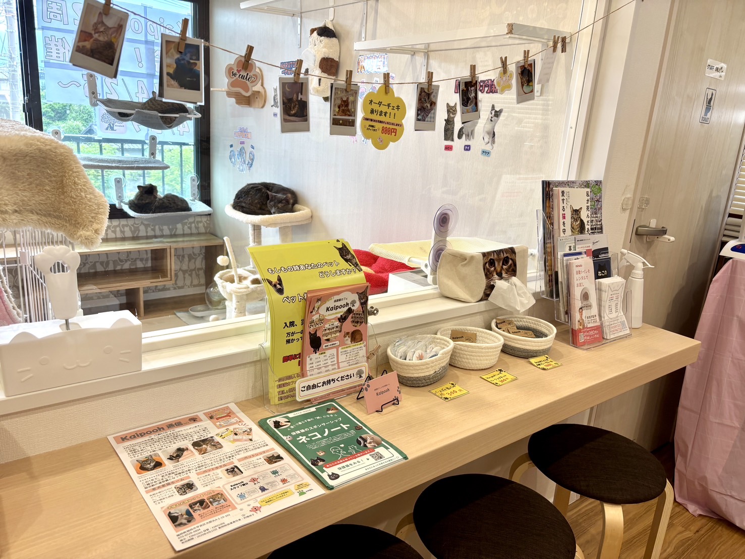 Kaipooh 店内